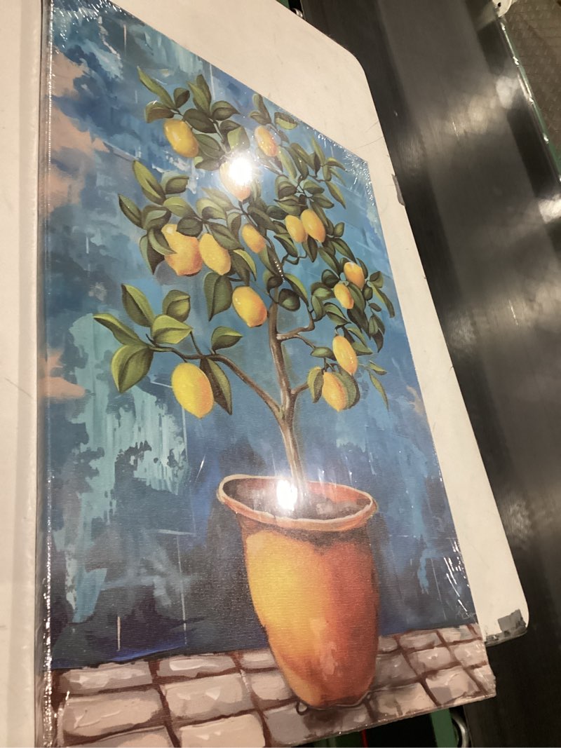 Condition photo showing Good Condition for SWQYLB Lemon Canvas Wall Art Kitchen Fruit Picture Vintage Farmhouse Lemon Tree Painting Rustic Botanical Prints Kitchen Dining Room Decor Framed (16.00" x 24.00") 24L" x 16W"