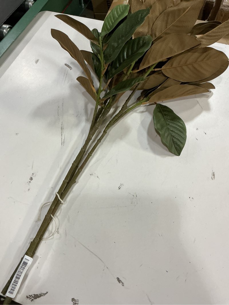 Condition photo showing Good Condition for Briful Artificial Magnolia Leaves Stems 3PCS 29.1" Faux Magnolia Branches Fake Greenery Stems for Tall Vase Floral Arrangement Wedding Bouquet Centerpiece Rustic Home Decoration