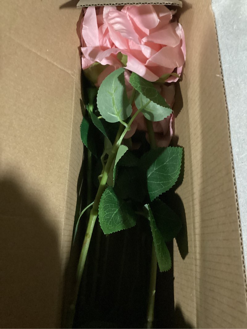 Condition photo showing Good Condition for ATFL 12 Pcs Light Pink Roses Artificial Flowers, Faux Baby Pink Flowers Bulk,Floral Diameter 4'',Artificial Fake Silk Plastic Roses Flowers with Stems for Wedding,Flores Artificiales para Decoracion Light Pink 12