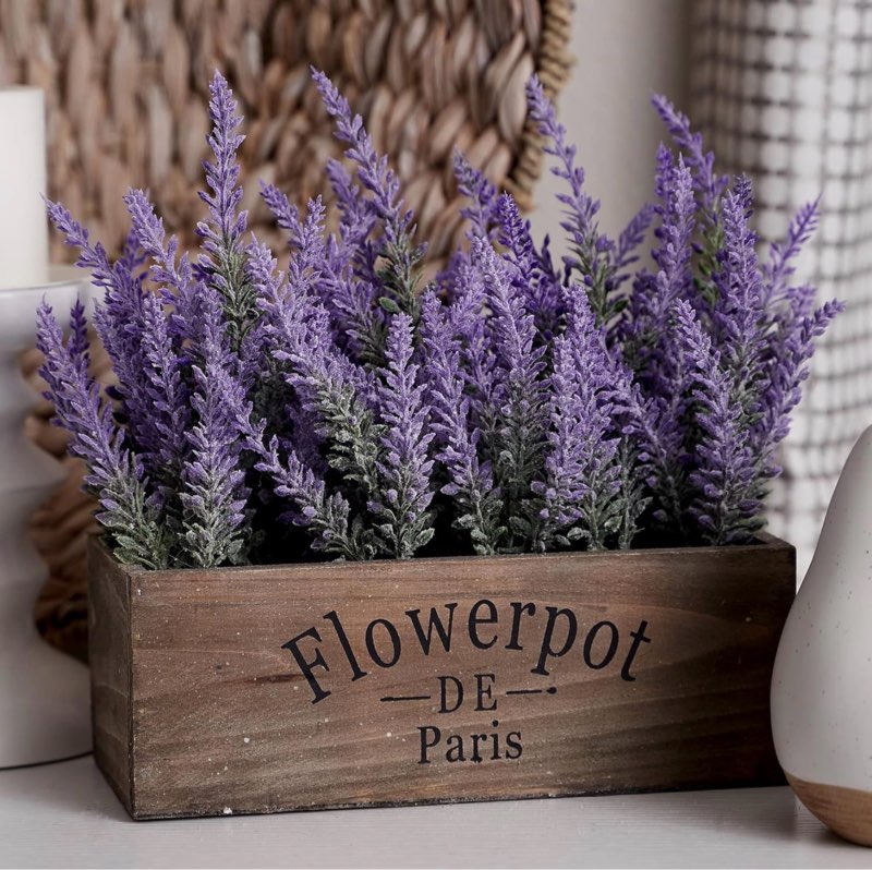 Deals On Everyday Home & Personal Items!
