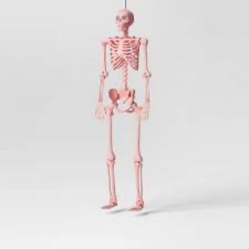 Pink skeleton