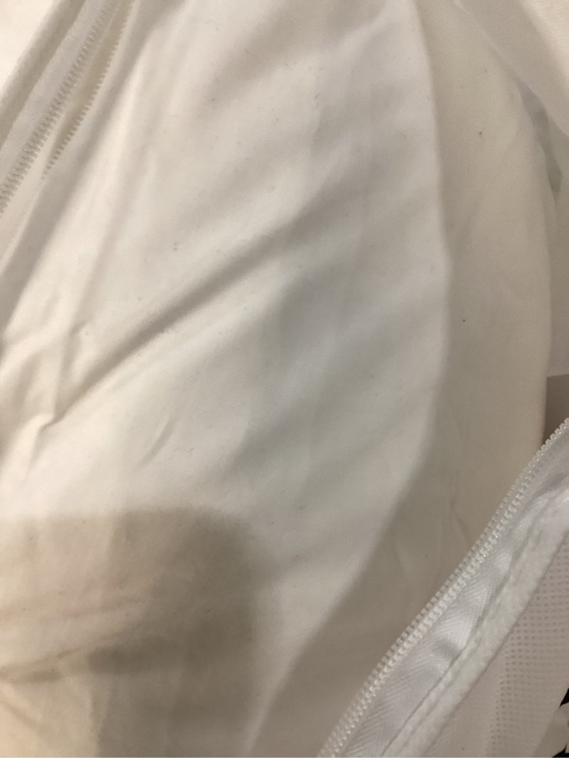Condition photo showing Good Condition for luxe goose down pillow, standard, medium/firm