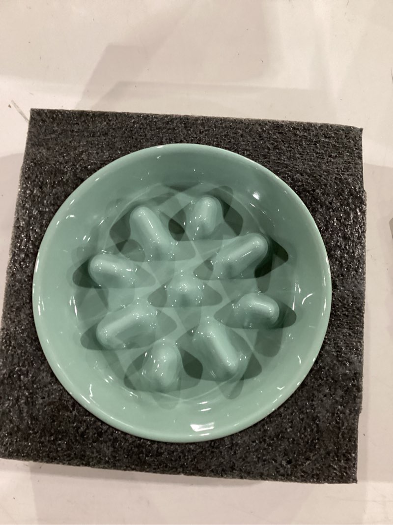Condition photo showing New/Like New for Ceramic 0.9 Cup Dog Bowl Slow Feeder, 6.1inch Slow Pet Food Dish for Small Dog and Cat, Stop Bloat, Preventing Choking(Single Bowl, Light Green) 6.1inch 1 x Light Green-C