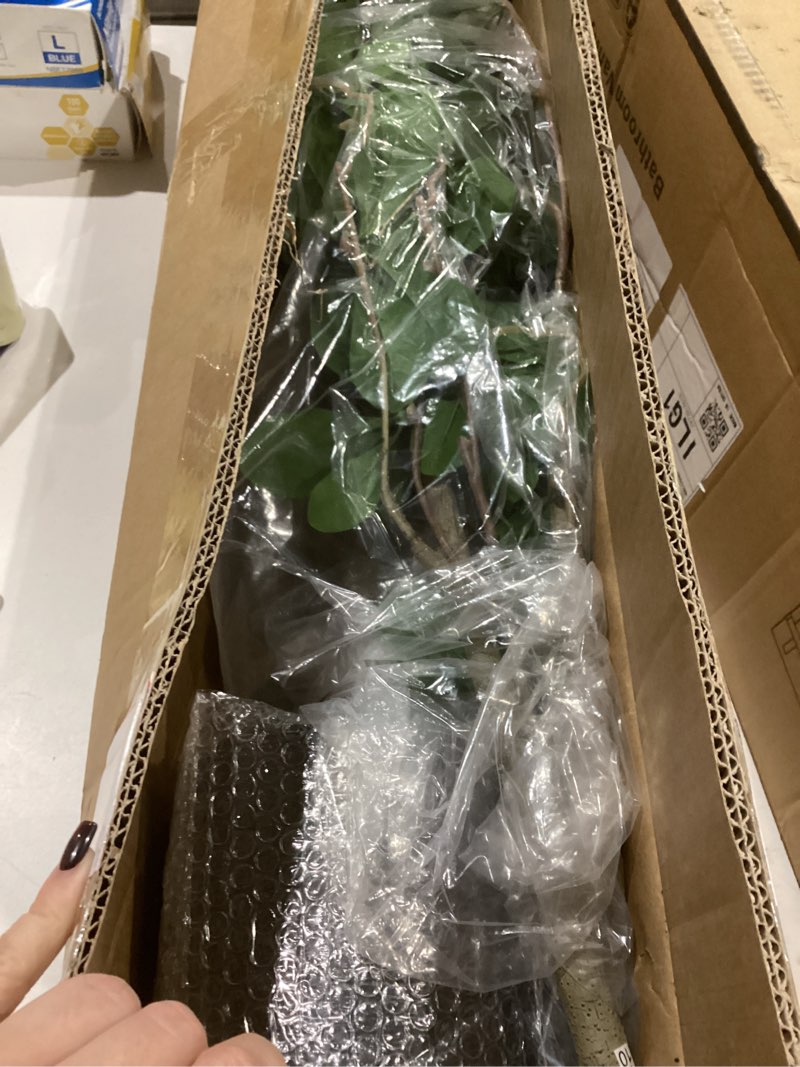 Condition photo showing item condition for Bellacat Faux Black Olive Tree 7ft, Tall Faux Trees Indoor with Natural Trunk and Realistic Leaves. 7 Feet(84in) Artificial Tree for Home Office Décor. 7ft Black Olive Tree