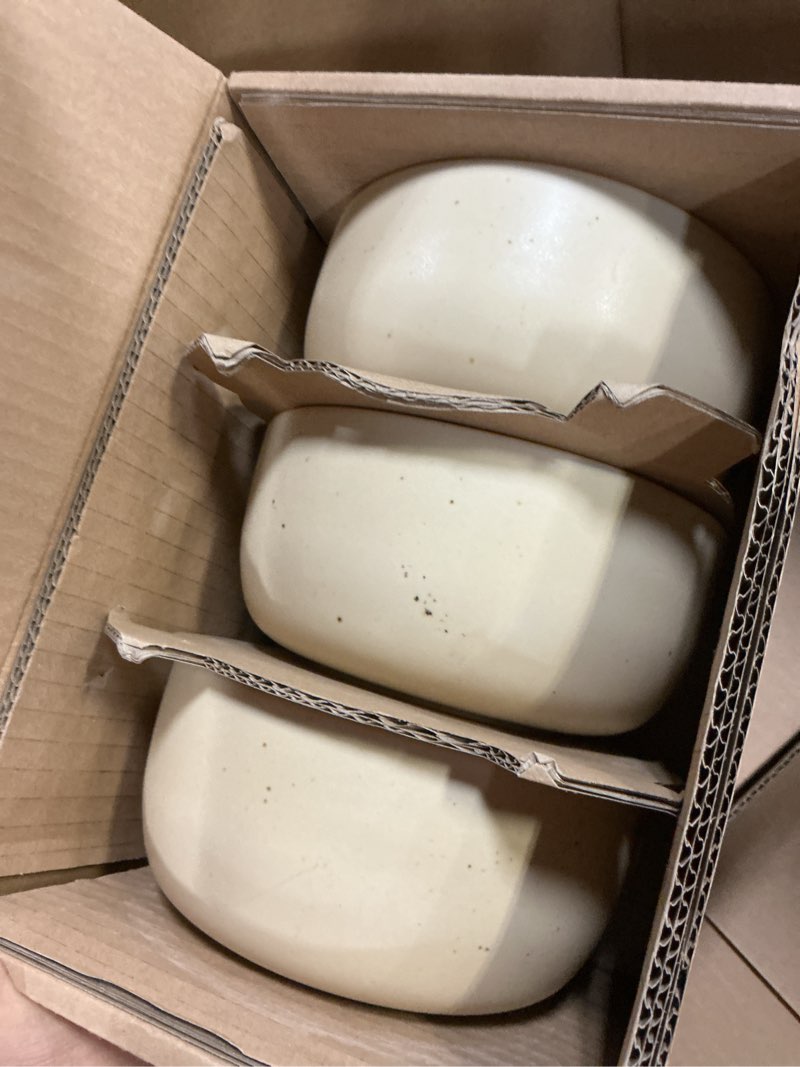 Condition photo showing Good Condition for Bloomhouse - Two Time Oprah's Favorite Things Winner - Corsica Clay 12 Piece Stoneware Rustic Reactive Glaze Dinnerware Set - Stackable Plates Bowls Set. Service for 4 - Matte Finish Cappuccino Cream Cappuccino Cream Service for 4 (12pcs)