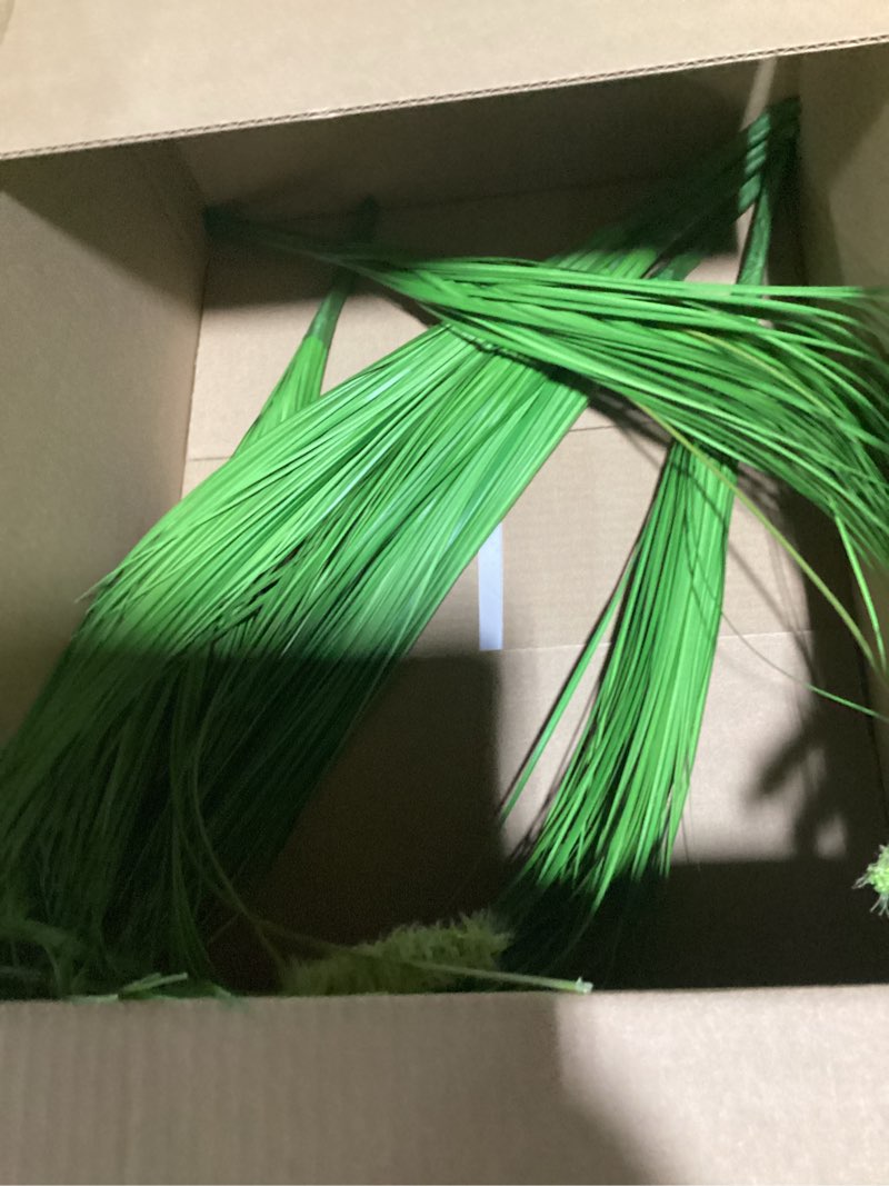 Condition photo showing Good Condition for Melorca&Guilla Artificial Plants 6PCS 27“ Fake Tall Onion Grass Faux Plant,Artificial Grass Greenery Shrubs Bushes for Garden Porch Window Box Shop Office Home Décor Onion Grass+dog Tail 6