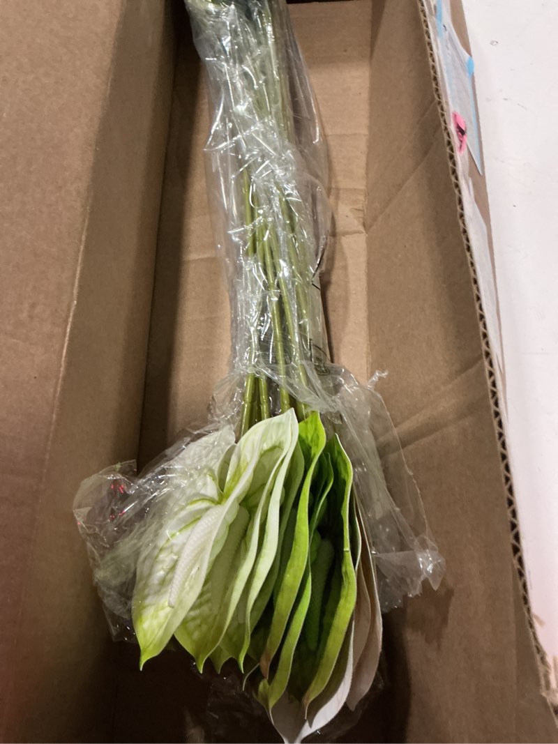 Condition photo showing Good Condition for hanaive 20 pcs artificial anthurium flowers 23.6 inch fake anthurium flowers for diy vase bouquets centerpiece arrangements wedding bridal shower party home decor (green) green 20