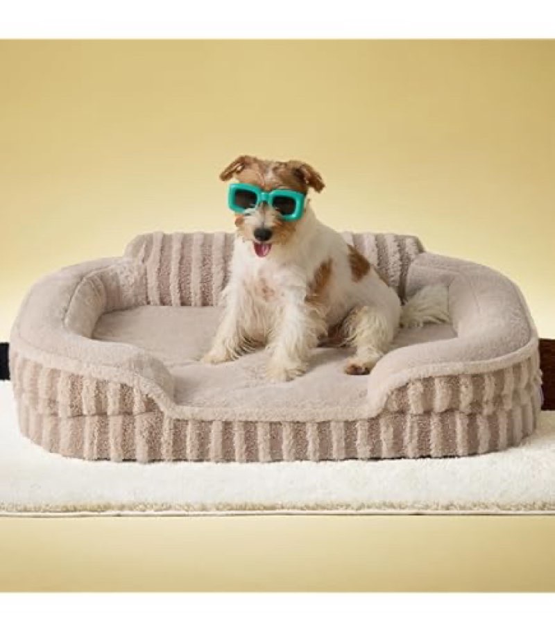 LE SURE Cute Dog Bed Medium Size Dog, Orthopedic Waterproof Medium Pet Beds with Sides, High Back No