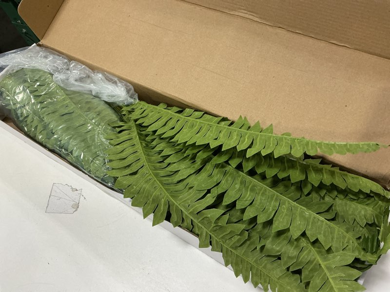 Condition photo showing Good Condition for 35" Ferns Artificial Bush Plants Large, 2 Artificial Boston Ferns with 39 Fronds for Outdoors Home Decor 35" 2 Pcs