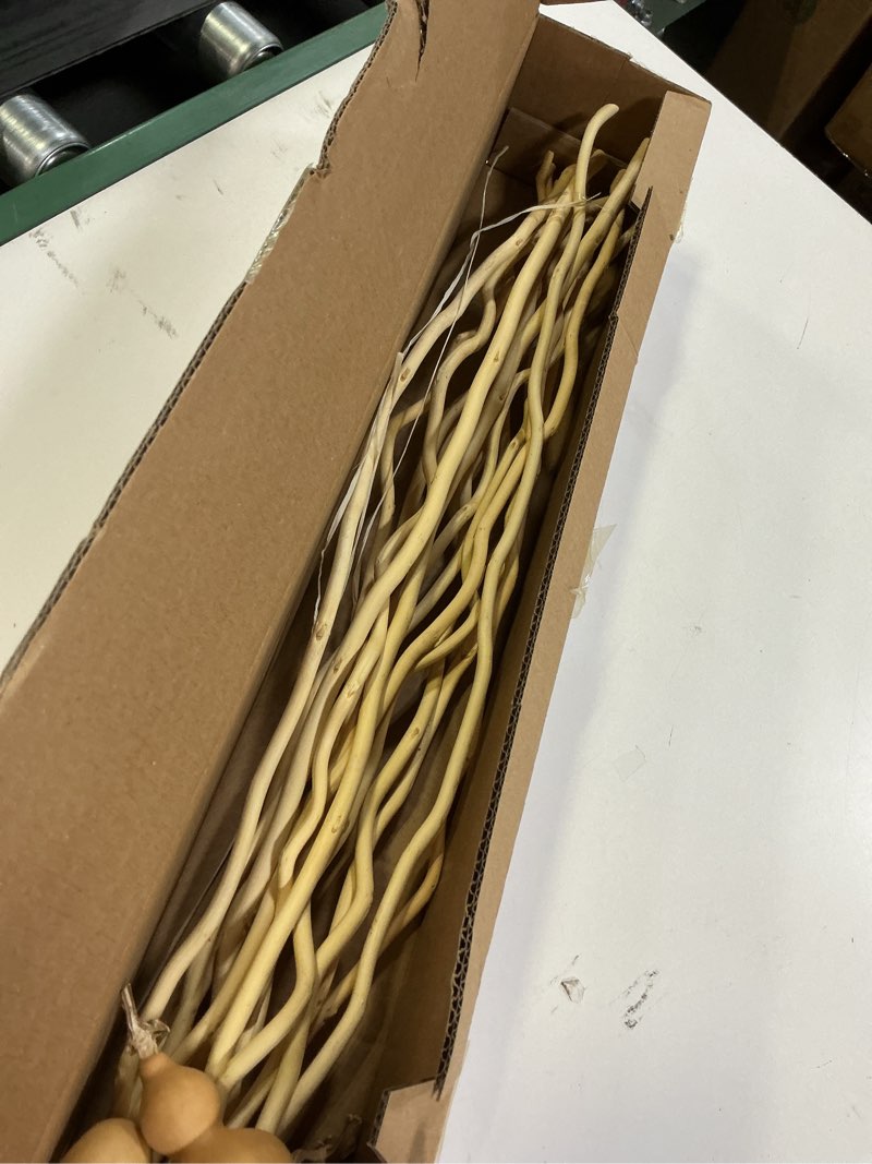 Condition photo showing Good Condition for Dried Curly Willow Branches, 14-15 Stems Dried Twigs Sticks 21-23” Natural Dried Plants Decorative Branches for Rustic Home Decor, Beige