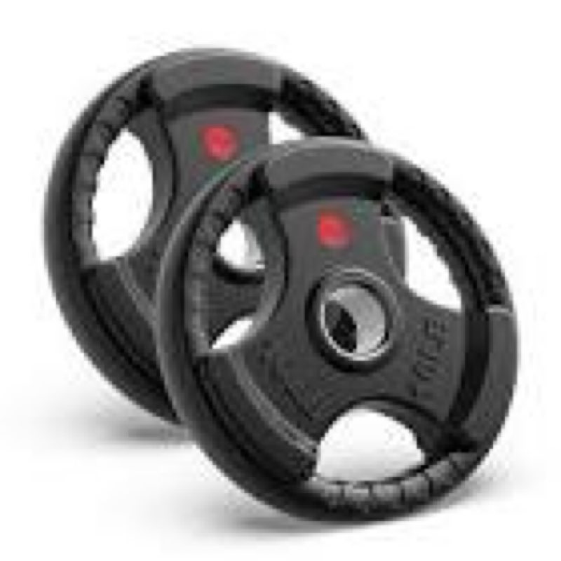 2-inch olympic and 1-inch standard cast iron weight plate for strength training 10 lbs pair of 2 of 10