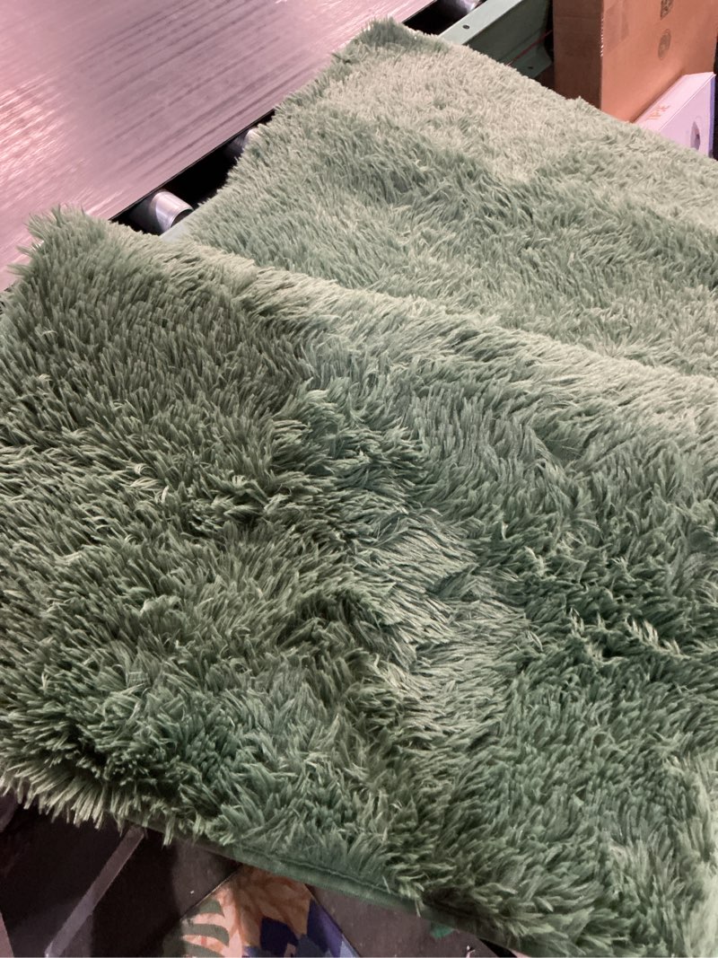 Condition photo showing Good Condition for dweike fluffy dark green runner rugs for bedroom, 2x6 feet soft plush long runners for girls boys kids, non-slip and machine washable bedside rug, small throw carpet for hallway rooms decor 2' x 6' (runner) dark green