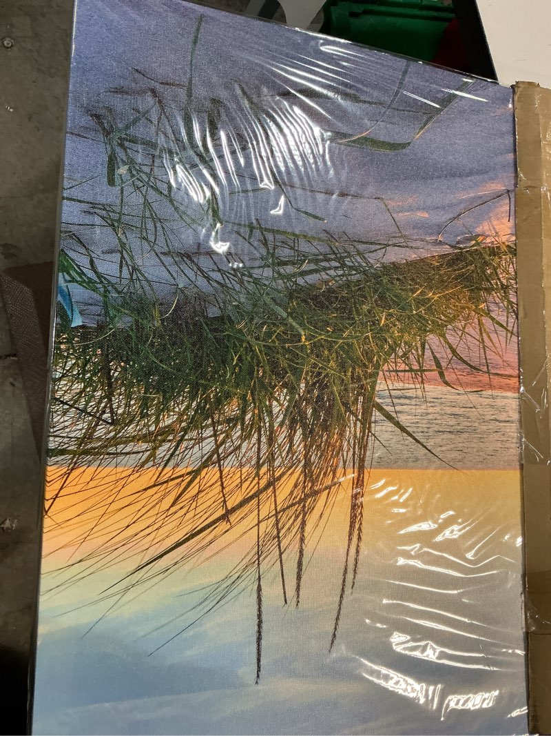 Condition photo showing New/Like New for wall art for living room large size wall decorations pictures blue sun beach grass ocean landscape painting office wall decor canvas prints ready to hang for home decoration works of art 24" x 48" 48"l x 24"w blue sun beach grass ocean landscape (wrapped canvas)