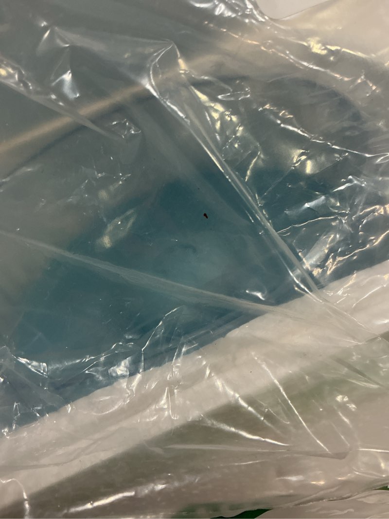 Condition photo showing New/Like New for silent hamster wheel, 8in hamster wheel no stand, double-bearing quiet spinner for syrian hamsters, hedgehogs, mice & small pets, blue 8in blue without stand