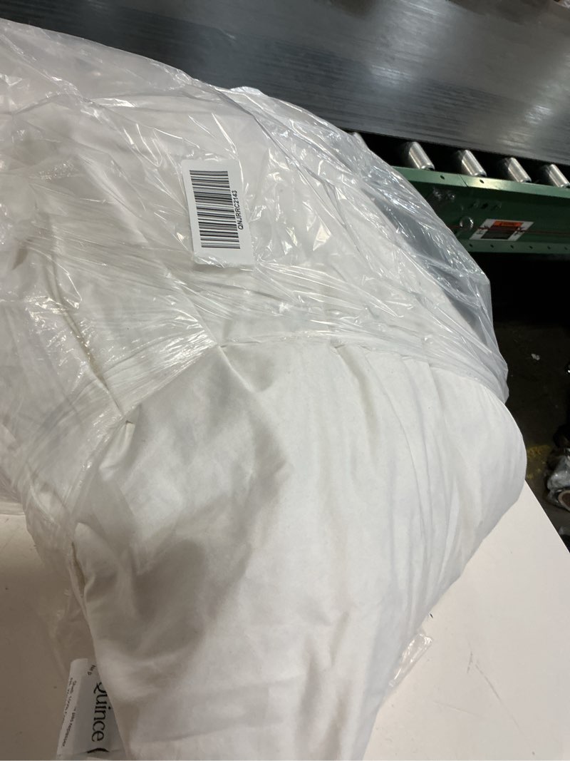 Condition photo showing As Is for premium feather pillow insert (set of 2), 22x22, no color