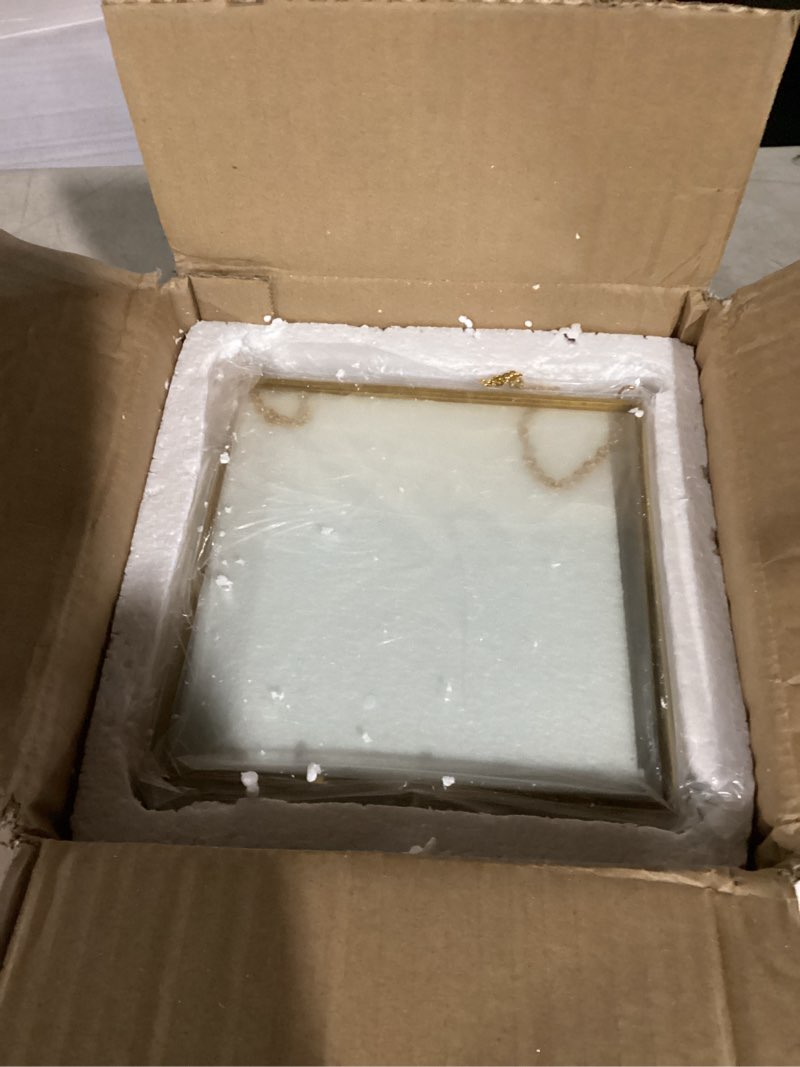 Condition photo showing Good Condition for Barydat 12 Pcs 6 Inch Double Glass Pressed Flower Frame with Dried Flower Pouches Tweezers Clear Brass Embossed Wall Hanging Floating Picture Frame with Metal Chain for Photo Postcard Display Decor