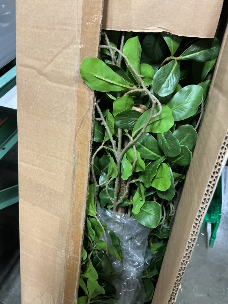 Condition photo showing Good Condition for Artificial Black Olive Tree 6FT, Fake Potted Tree for Indoor Outdoor, Lifelike Faux Floor Plants with Moss Topper and Cotton Basket, Home Office Living Room Bedroom Doorway Hallway Decor Black Olive 1