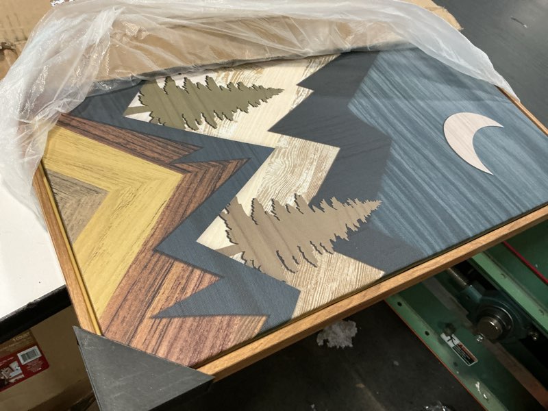 Condition photo showing Good Condition for BINCUE Mountain Wall Art Framed Canvas Wall Art Nature Forest Wall Decor Rustic Farmhouse Wall Painting Moon Art for Living Room Bedroom Dining Room Large Size 20"x40" 40"L x 20"W Mountain