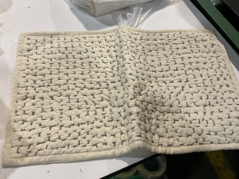 Condition photo showing As Is for quince soft sage cotton double gauze  pillowcases