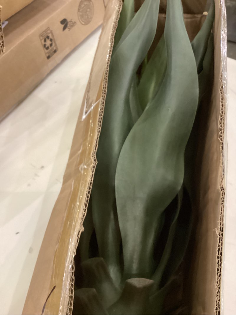 Condition photo showing Good Condition for Artificial Agave Plants - 22 Inch UV Resistant Unpotted Fake Agave, Bonsai Synthetic Plant for Indoor and Outdoor Home Décor Narrow-leaved 22" Artificial Agave