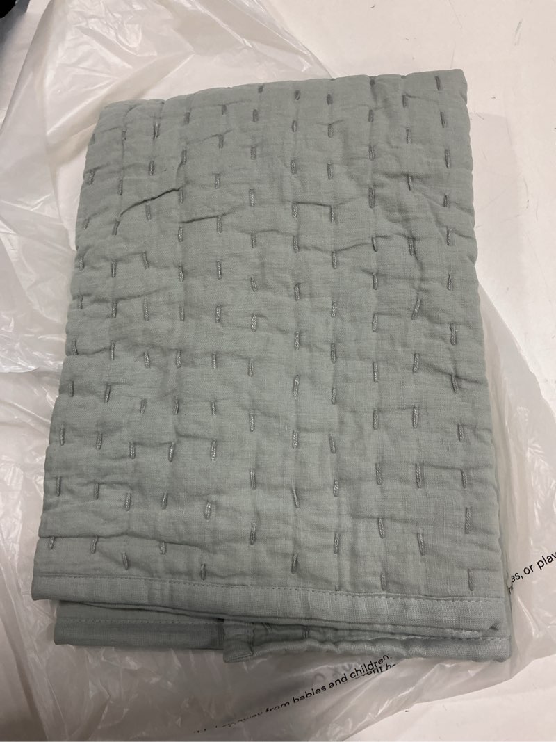 Condition photo showing As Is for european linen piped euro sham, euro, willowleaf/white