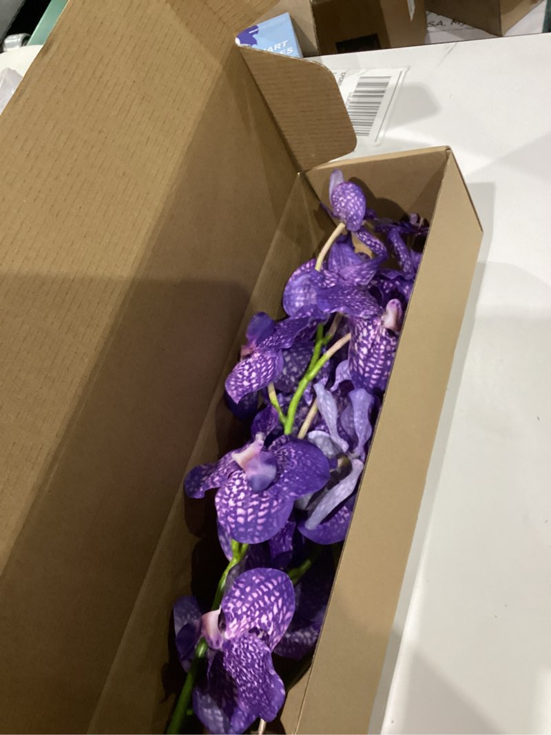 Condition photo showing Good Condition for Purple Faux Vanda Orchid, Real Touch Artificial Flowers, 23.6" Faux Orchid Flowers Purple 7 Blooms for Home & Office Decor (3PCS,Deep Purple) Deep Purple(3pcs)