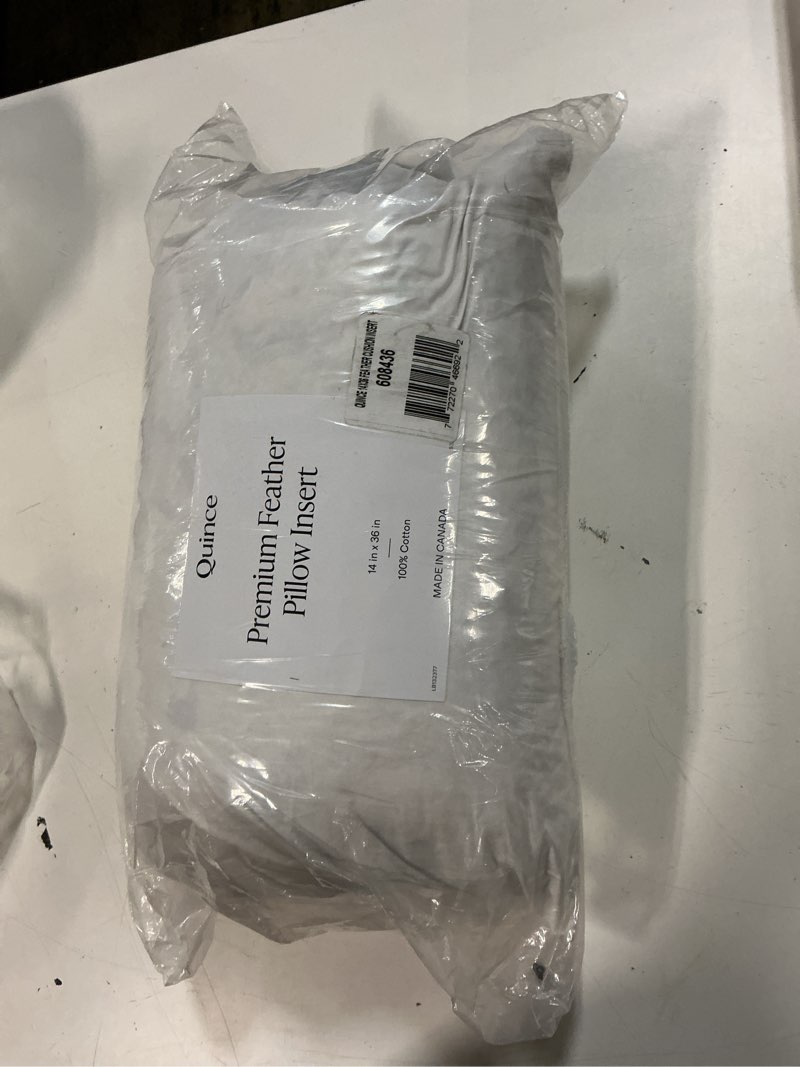 Condition photo showing New/Like New for quince premium feather pillow insert 14in x36in