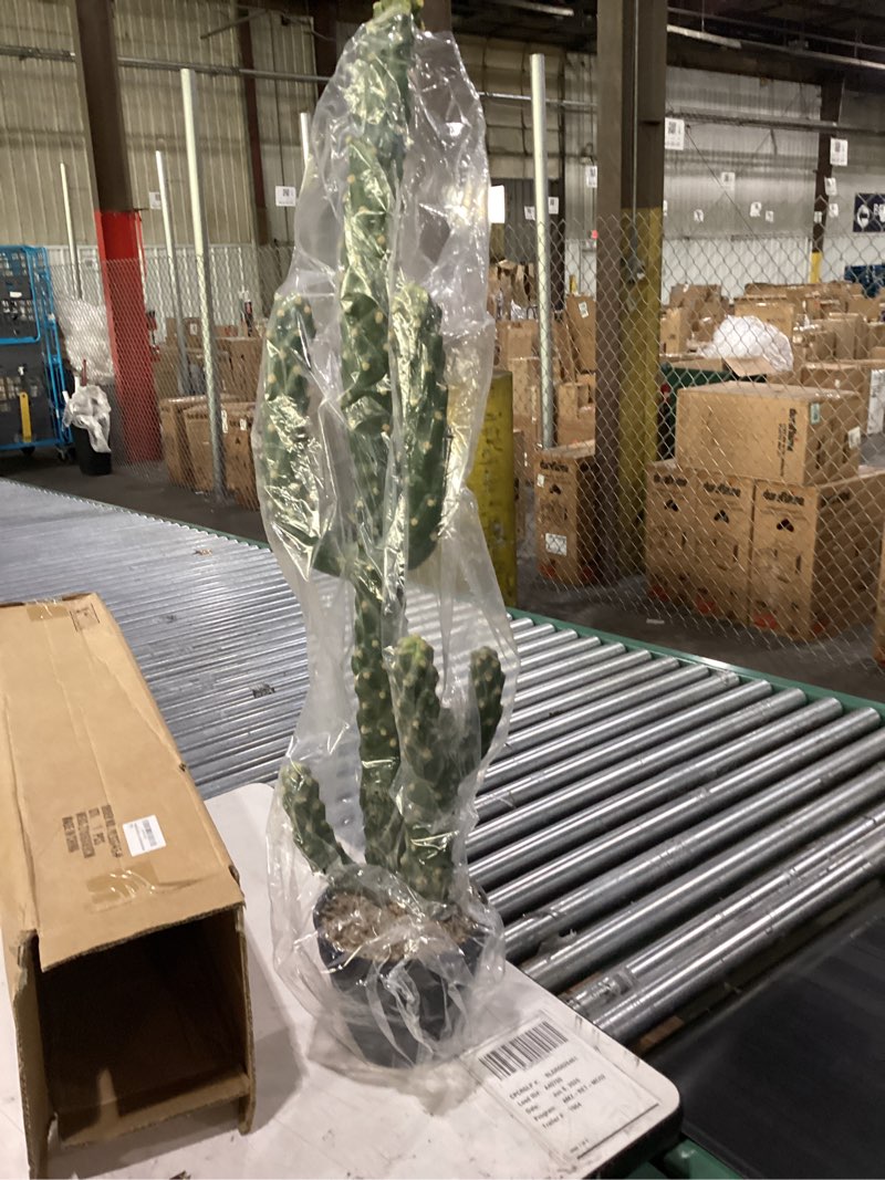 Condition photo showing New/Like New for 34inch artificial cactus faux cacti fake cactus saguaro potted plants for indoor outdoor home offices store decoration