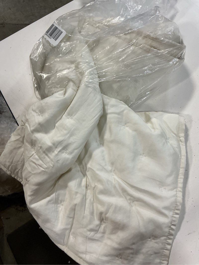 Condition photo showing Good Condition for bamboo dream quilted euro sham color: ivory 
