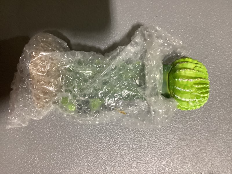 Condition photo showing New/Like New for Multi Pet 48593325: Komodo Cactus Plant Moon, 7.5In