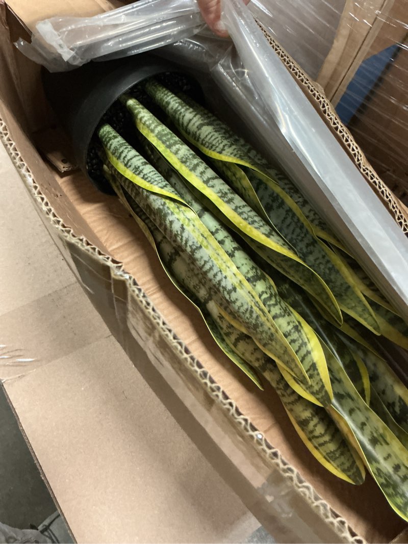 Condition photo showing Good Condition for artificial snake plant 26 inches fake sansevieria artificial potted plants for indoor and outdoor, home, office decoration light green