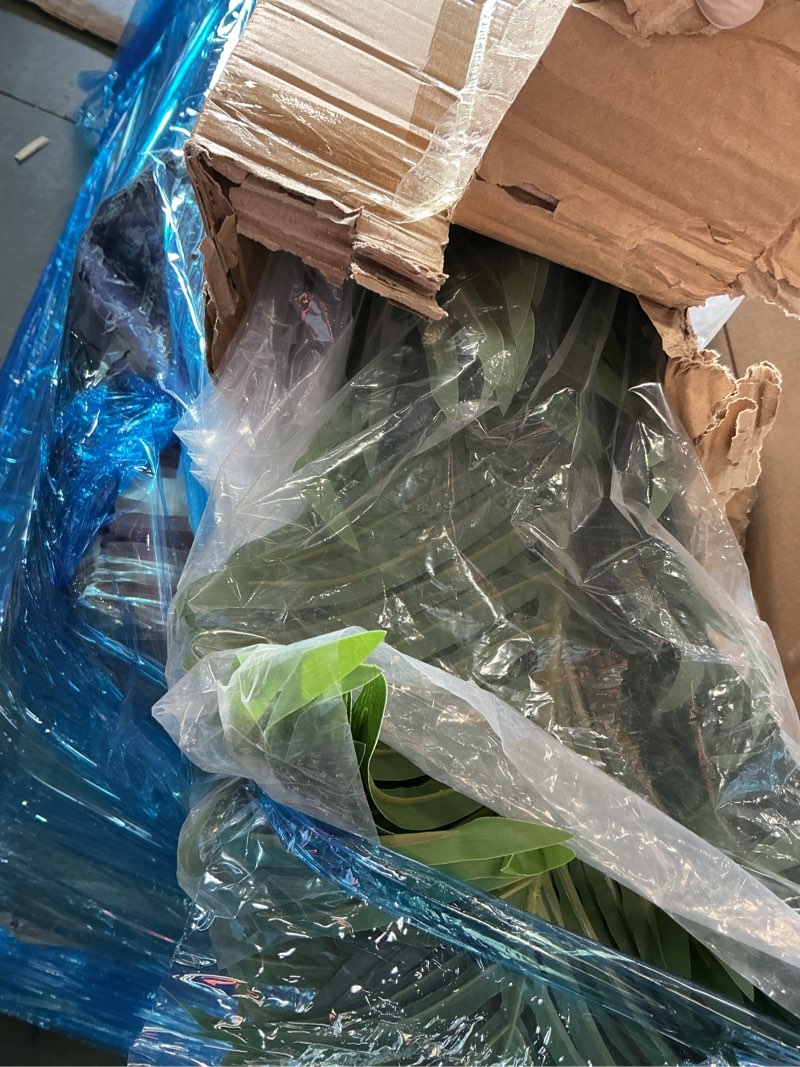 Condition photo showing Good Condition for Fopamtri Artificial Areca Palm Plant 5 Feet Fake Palm Tree with 17 Trunks Faux Tree for Indoor Outdoor Modern Decoration Dypsis Lutescens Plants in Pot for Home Office (Set of 2) 5ft-2 Pcs