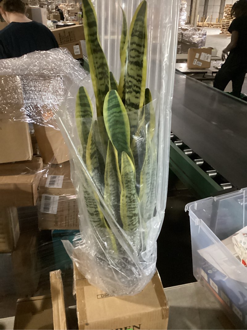 Condition photo showing New/Like New for ql design artificial snake plant 26 inches fake sansevieria artificial potted plants for indoor and outdoor, home, office decoration light green