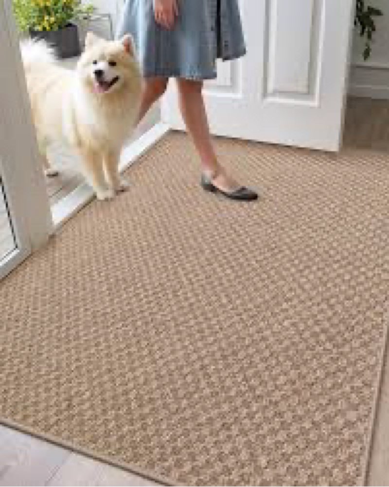 Color&Geometry Oversized Door Mat, 48"x63" Extra Large Indoor Outdoor Door Mat Non Slip, Dirt Trappe