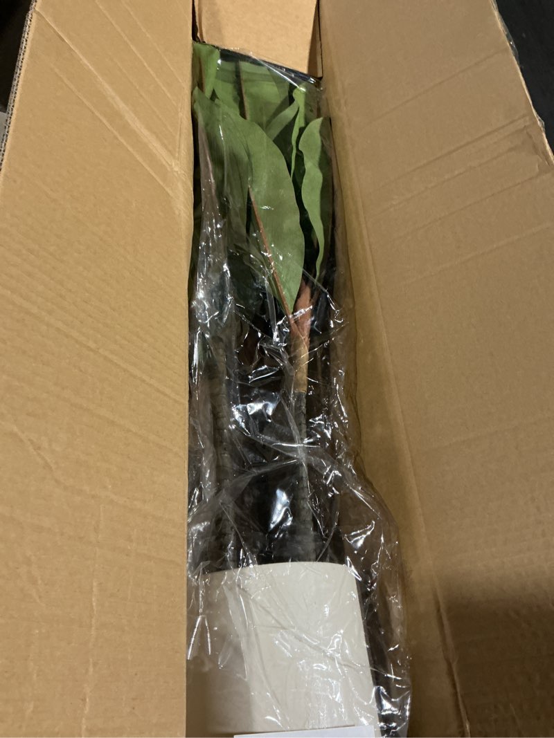 Condition photo showing Good Condition for artificial dracaena plant indoor 4 ft, fake tree with white planter, faux yucca silk floor plants indoor, artificial trees for home office decor indoor outdoor housewarming gift red-dracaena tree 4ft