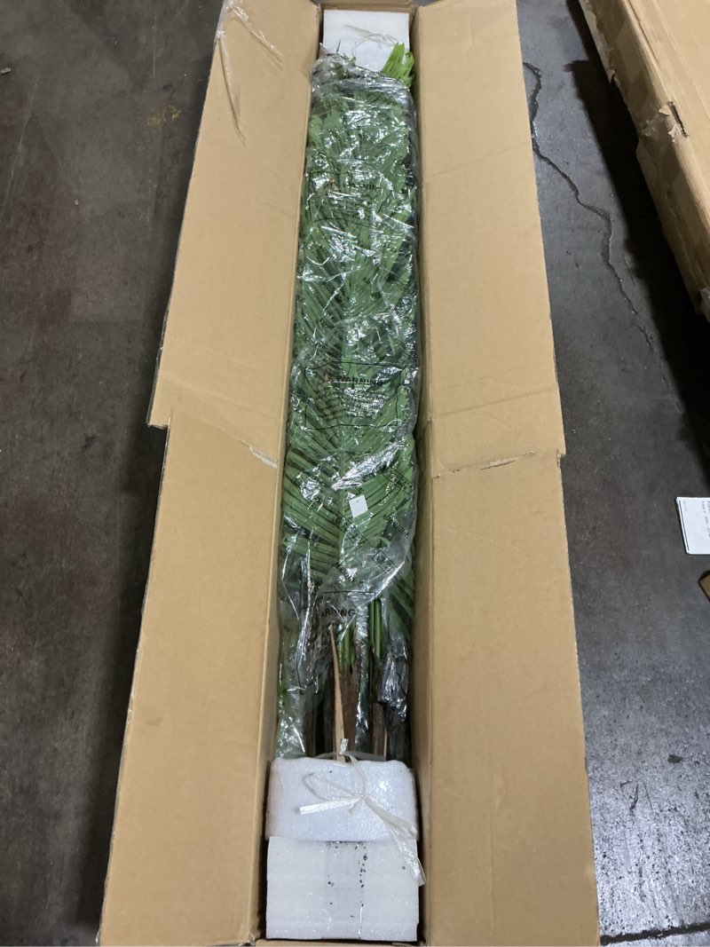 Condition photo showing New/Like New for aemrique pair tropical palm trees artificial plant with nursery pots, 5' each, set of 2