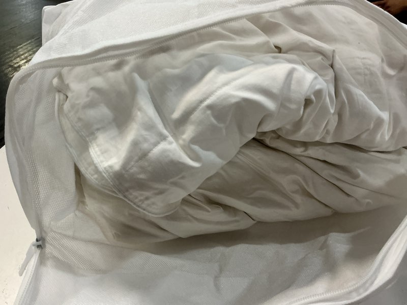 Condition photo showing As Is for lightweight premium down comforter, full/queen, down