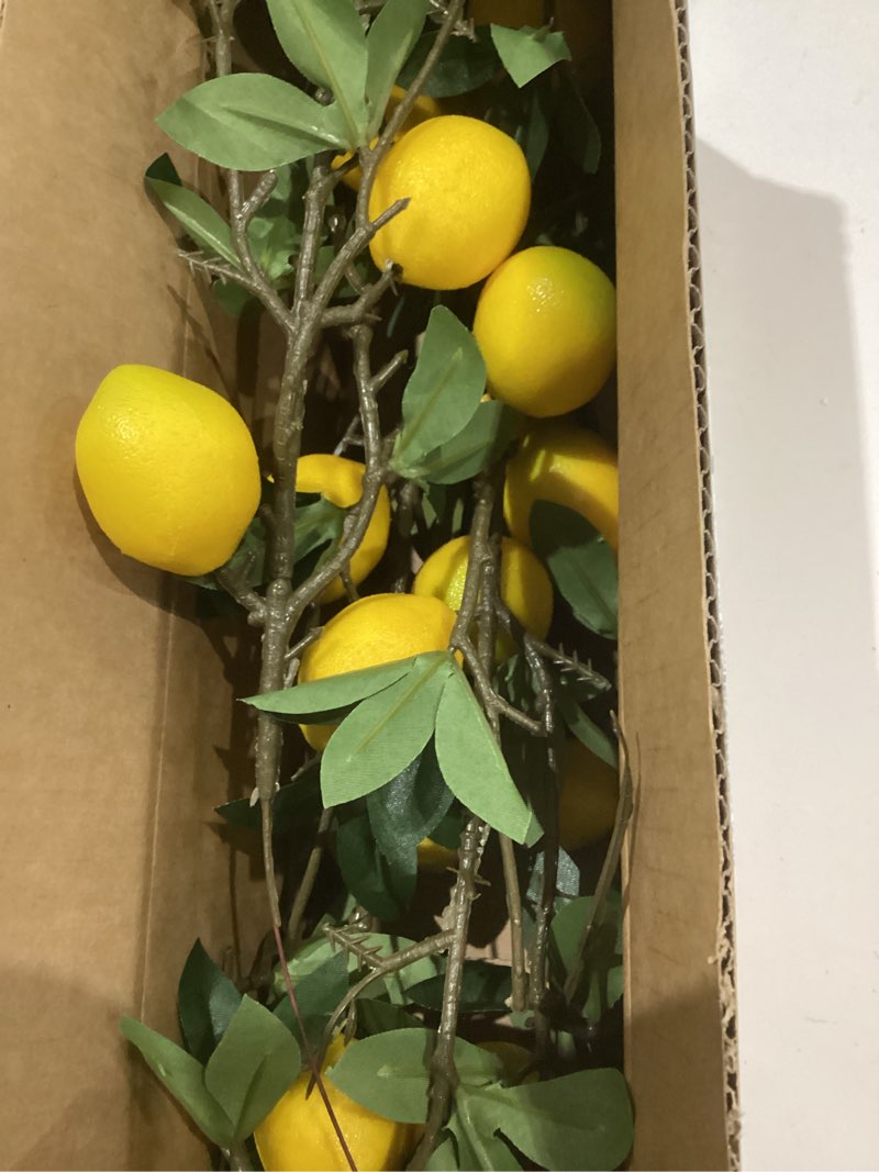 Condition photo showing Good Condition for Woration 19.3inch Simulation Artificial Lemon Branches Fake Fruit Yellow Decoration for Home DIY Flower Arrangement Photography Props 5PCS 19.3 Inch Fake Lemon Branches