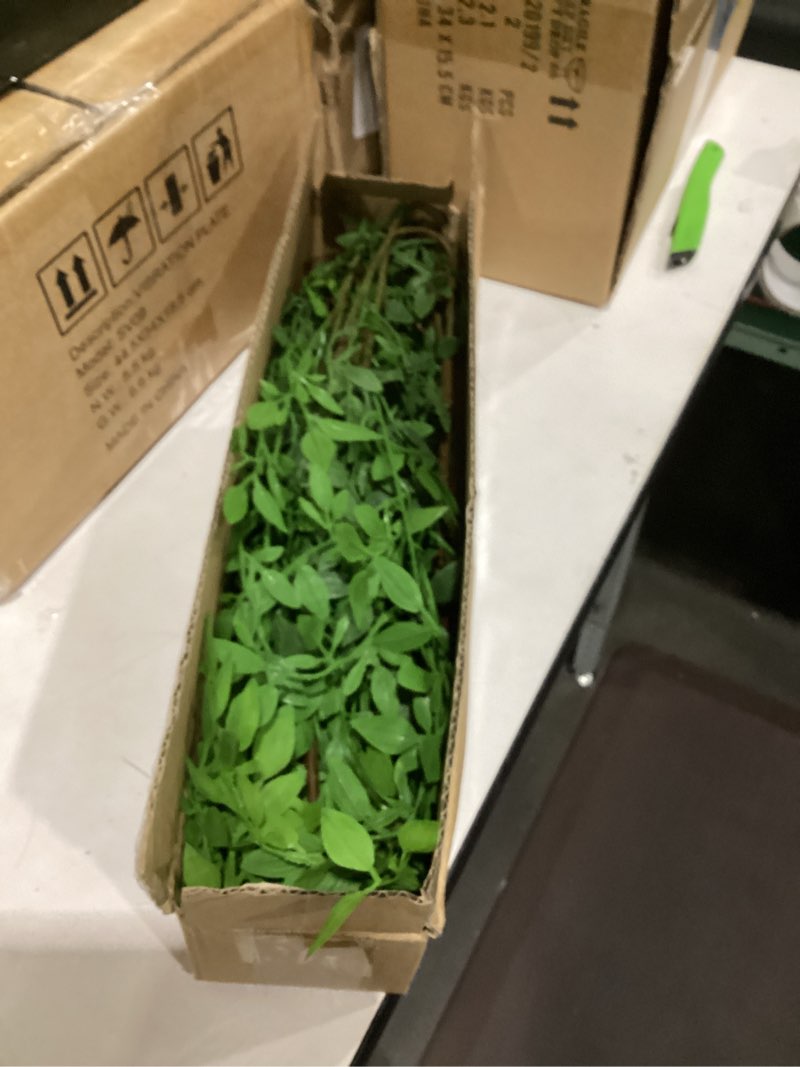 Condition photo showing Good Condition for Fake Plants Eucalyptus Stems,Plastics Ficus Stems for Vase Artificial Plants,Greenery Stems for Vase Faux Plants Indoor,43.3" Faux Greenery Indoor Vase Fillers for Home Decor(3Pcs Orange) Orange 3pcs