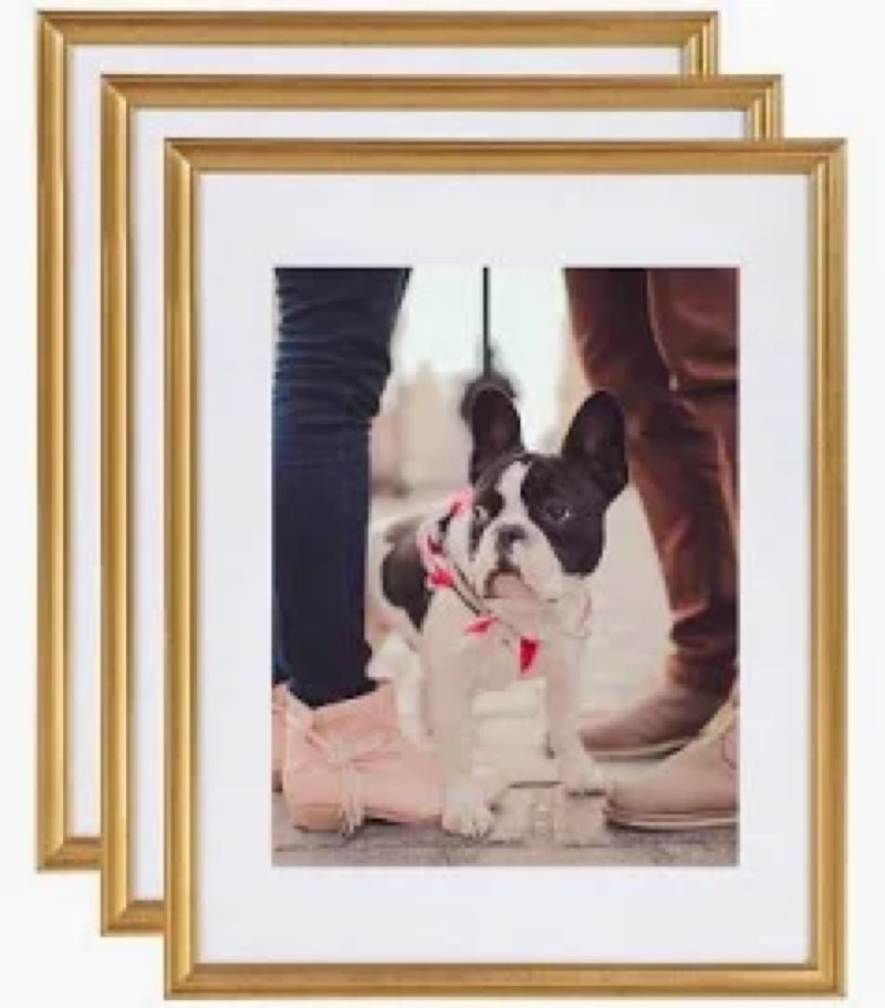 Kate & Laurel All Things Decor Adlynn Rectangle Picture 10”x12” , gold