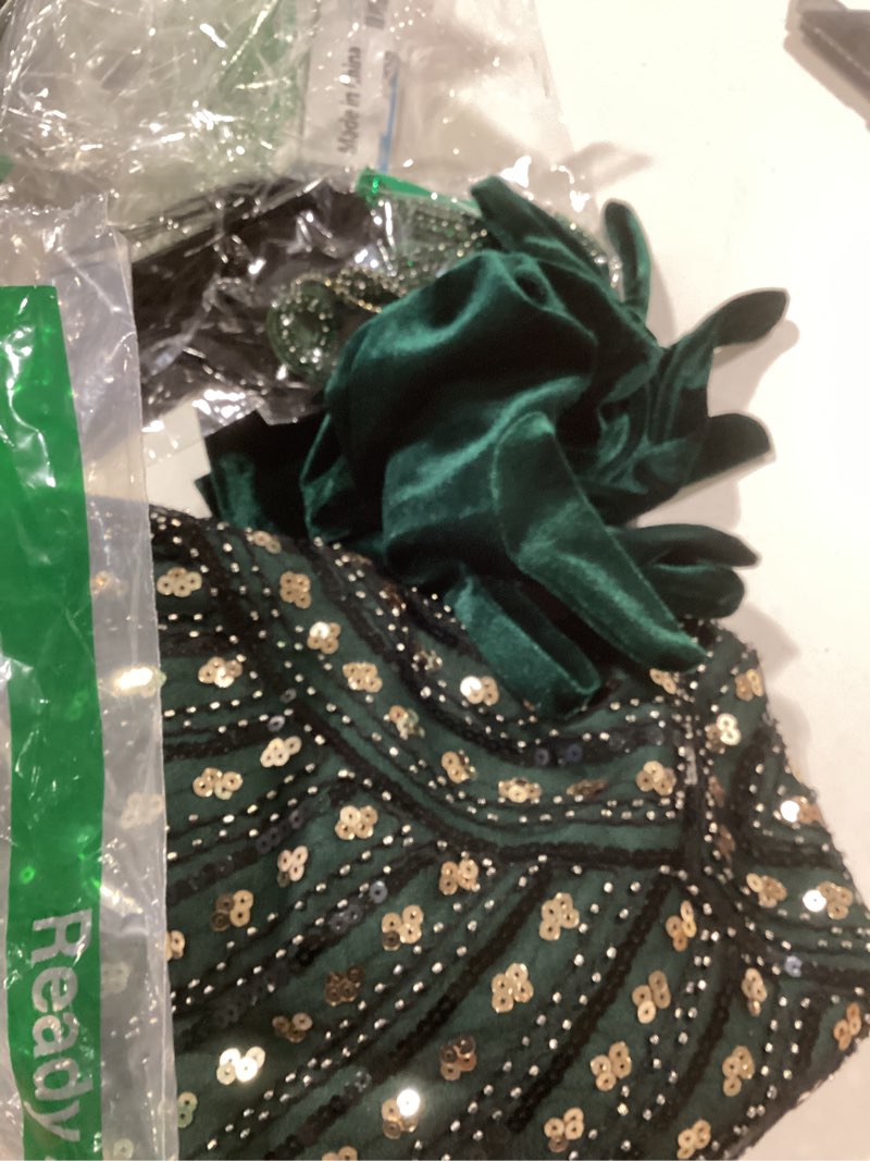 Condition photo showing Good Condition for 1920s dresses for women, roaring 20s great gatsby flapper dresses fringed sequin vintage dress with accessories set green x-large