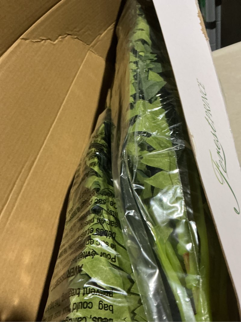 Condition photo showing Good Condition for forest prince 35" ferns artificial bush plants large, 2 artificial boston ferns with 39 fronds for outdoors home decor 35" 2 pcs