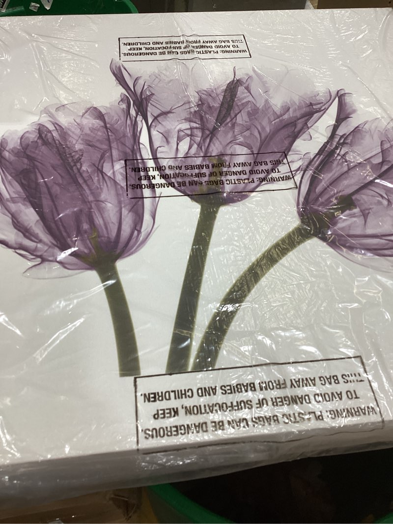 Condition photo showing Good Condition for jaxson rea "tulips home gallery wrapped canvas by albert koetsier, 24" x 24" 24x24x1.5