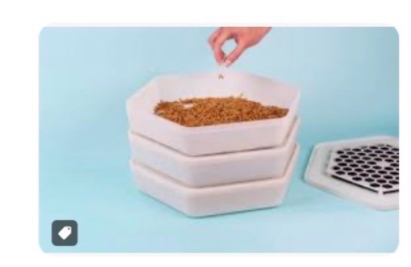 The Bug Factory Mealworm Growing Pod Reptile Feeder, White 