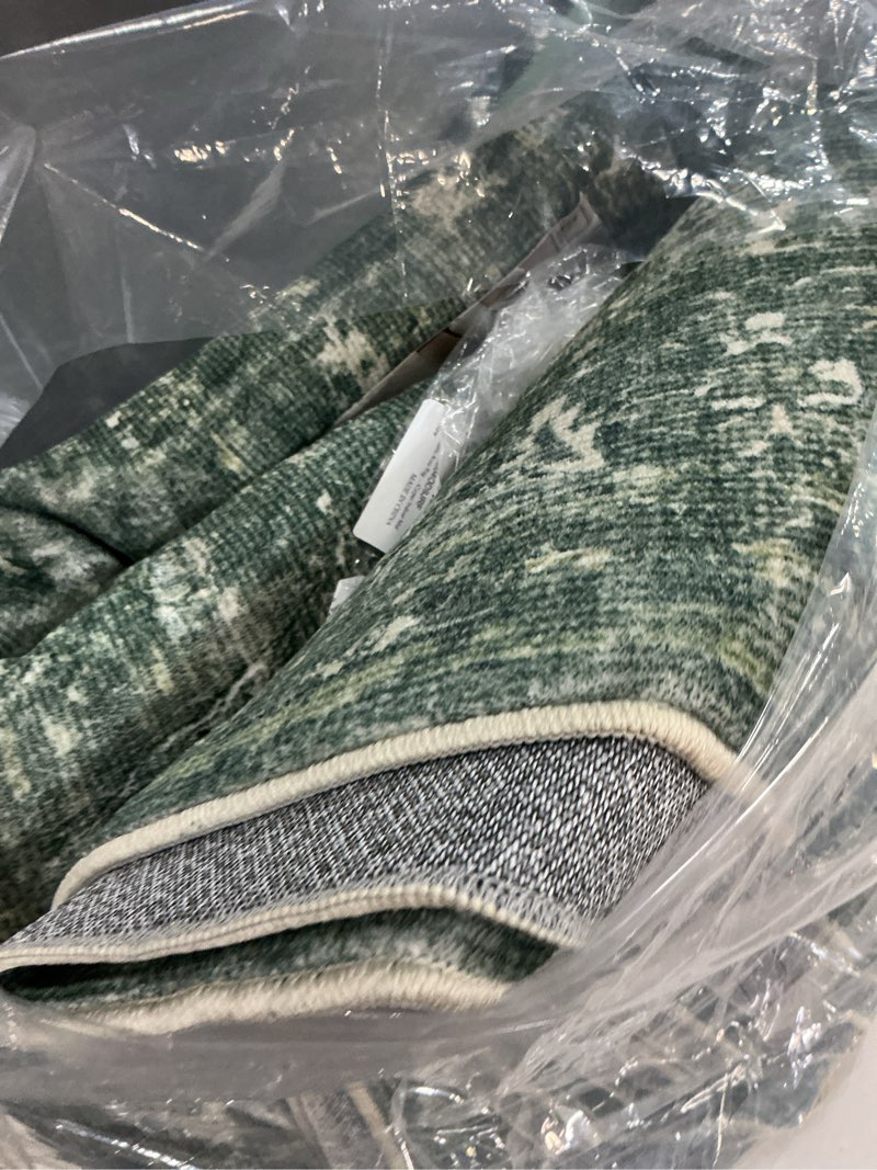 Condition photo showing As Is for washable area rug 8x10 green rugs for living room, vintage boho large rug for bedroom dining room office, distressed floral print carpet for under table, soft non slip low pile throw carpet indoor mat