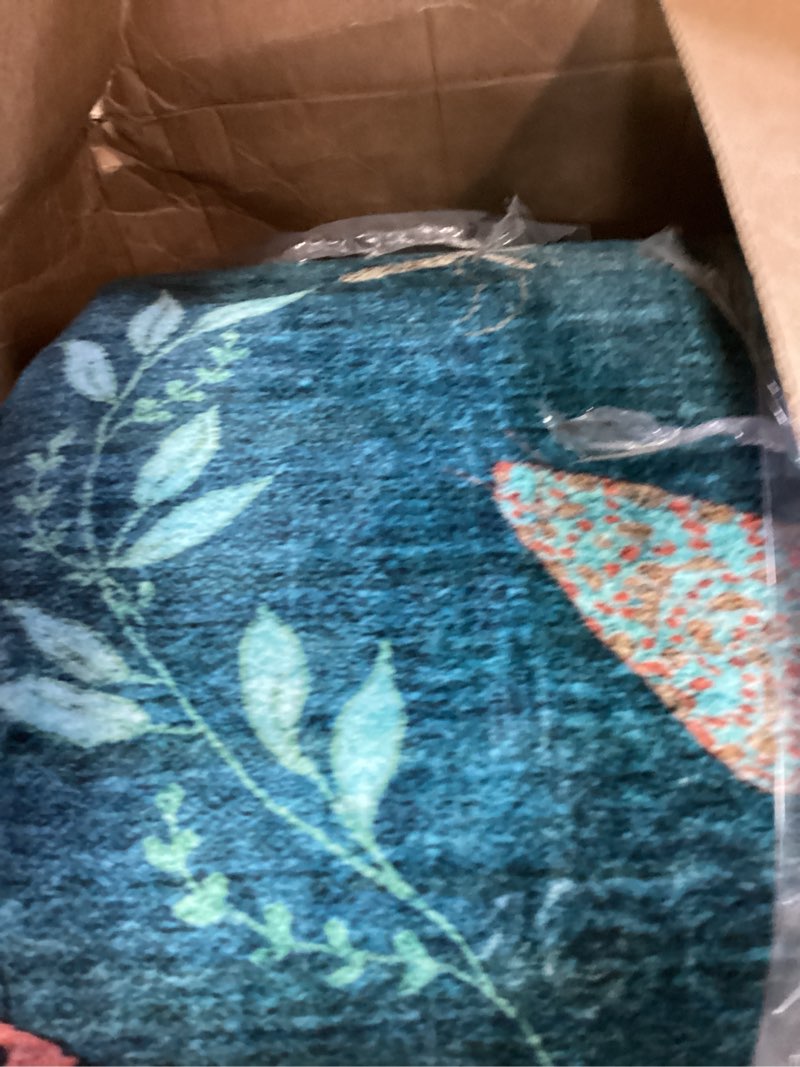 Condition photo showing Good Condition for lahome insect washable small area rug, 3x5 area rug for bedroom living room, non-slip soft accent th
