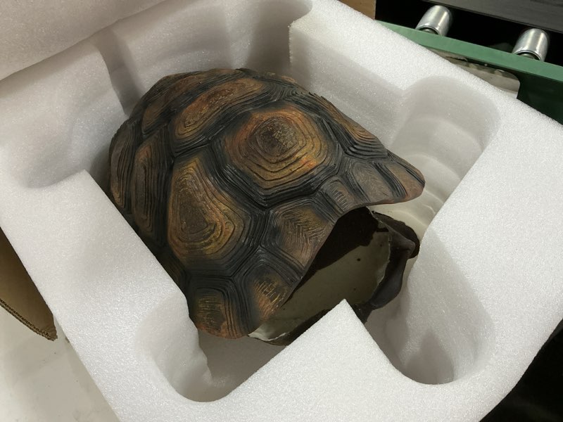 Condition photo showing As Is for turtle statue,resin garden sculpture indoor/outdoor yard lawn ornament,home decor (extra large)