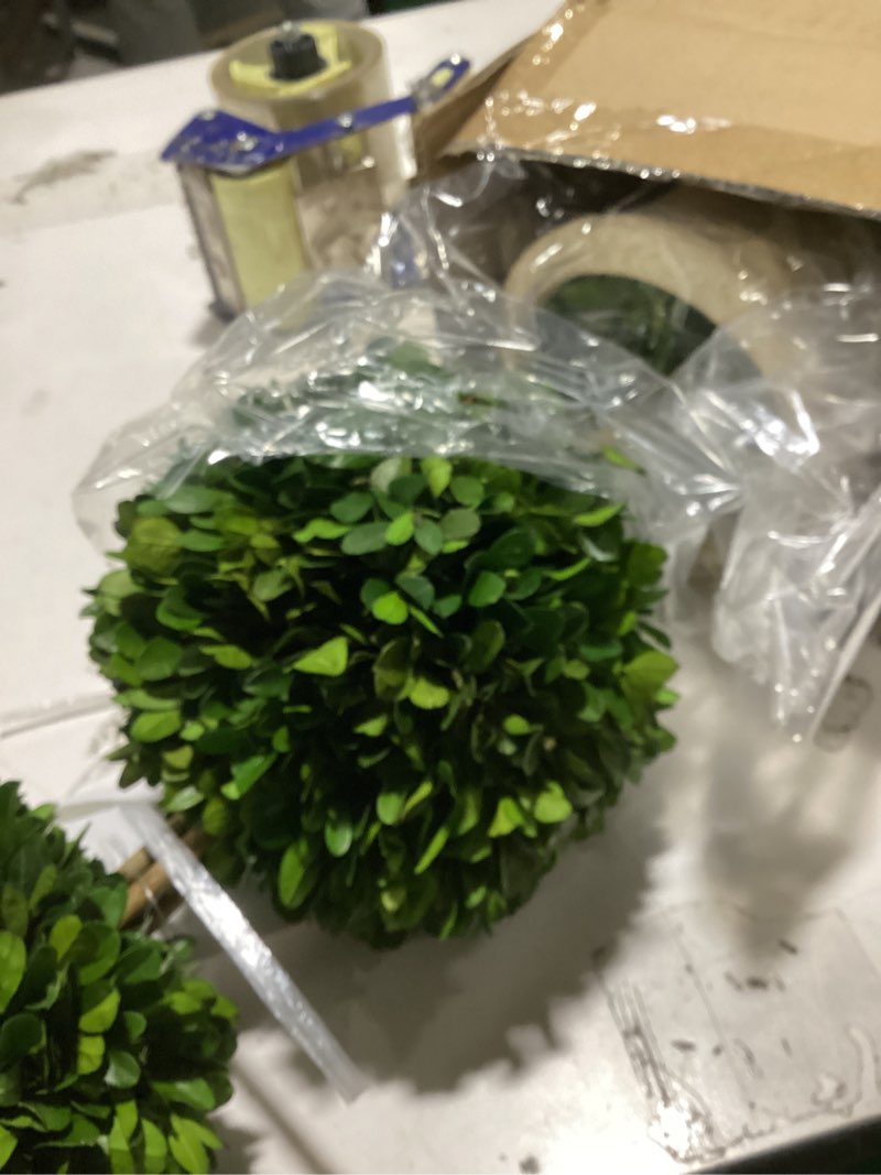 Condition photo showing As Is for real preserved boxwood evergreen potted tree globe tree topiary in terracotta planter, home decor farmhouse (double balls topiary, 20 inches) double balls topiary 20 inches