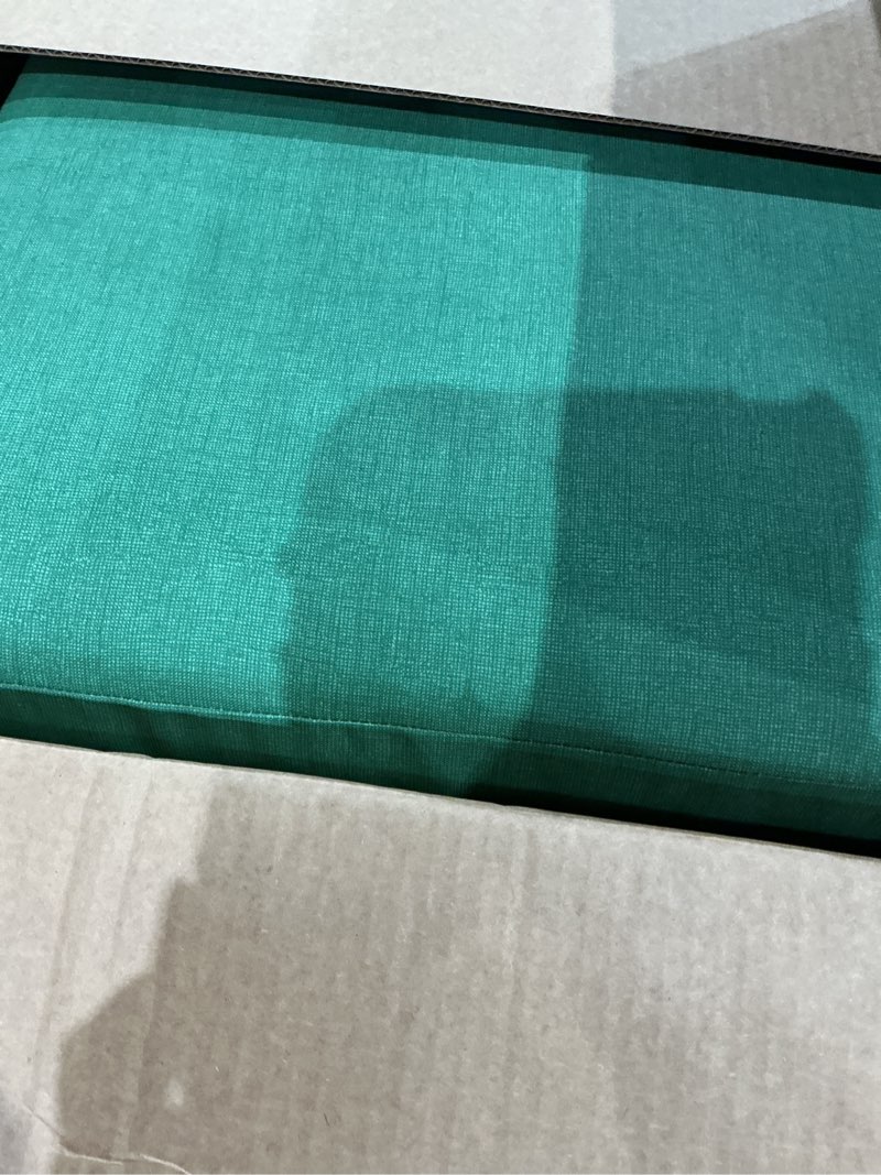 Condition photo showing Good Condition for arden outdoor deep seat cushion set, 24 in x 24 in, weather-proof, rain-proof, fade resistant patio cushion for chair, sofa, and couch bright moss green leala polyfill bright moss green leala 24" x 24"