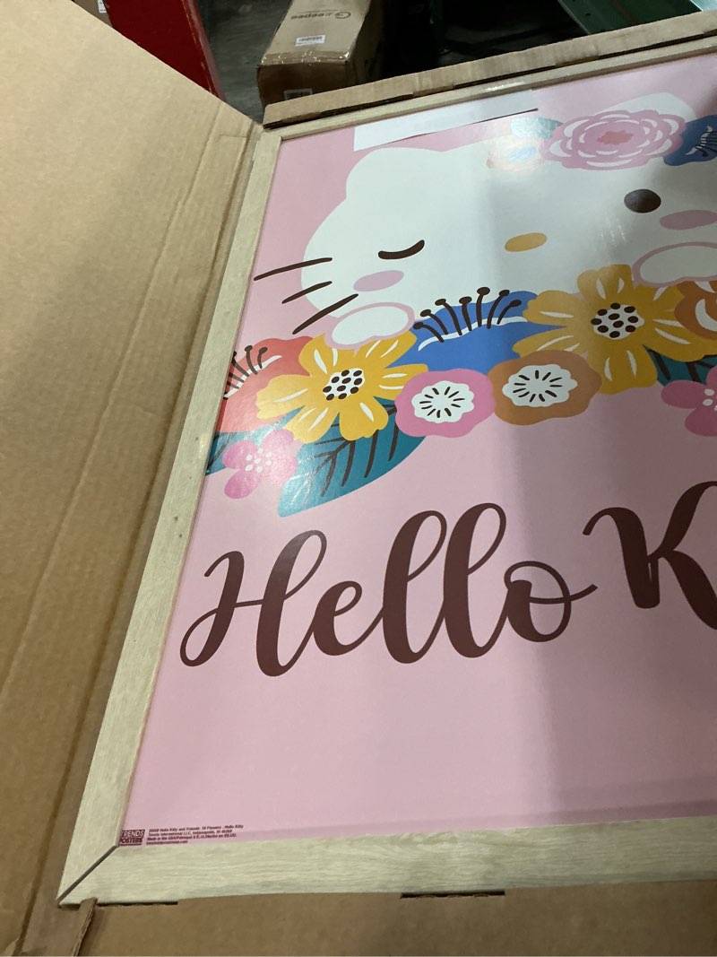 Condition photo showing As Is for hello kitty and friends: 24 flowers - hello kitty wall poster, 34l" x 22.4w", blonde framed version blonde framed version 34"l x 22.4"w